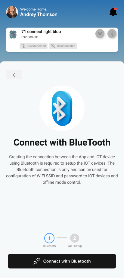 Bluetooth Connection